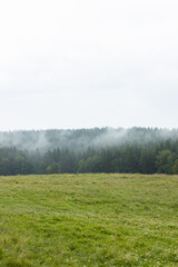 Misty morning view over green field and forest in tranquil landscape