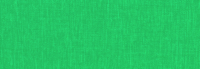 green  texture background