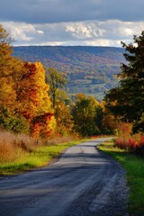 Naklejka premium Winding scenic route meandering through vibrant fall foliage, showcasing colorful leaves under a dramatic, cloudy sky