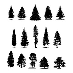 Obraz premium Silhouettes of fir, pine, and cypress – vector design of evergreen trees