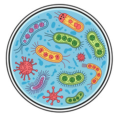 Microscopic View of Various Bacteria and Microbes Floating in a Light Blue Round Liquid Field