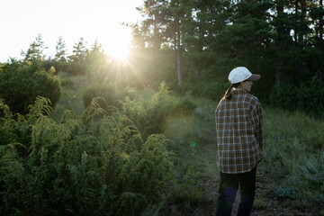 Walking through a sunlit forest path surrounded by greenery and trees during a serene afternoon