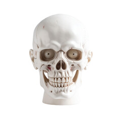 A close up of a realistic human skull with visible textures and minor stains, set against a transparent background. Ideal for Halloween party invitations and seasonal graphics.