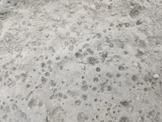 Gray Concrete Texture: Seamless Background for Design Projects