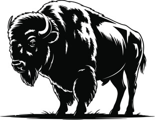 Obraz premium Powerful bison standing in silhouette against a white background