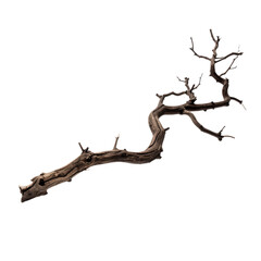 An isolated dry, gnarled tree branch with several small protrusions and knots on a transparent background. Perfect for Halloween merchandise and seasonal marketing.