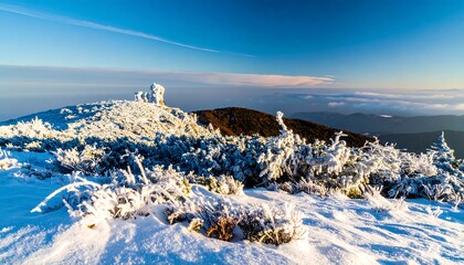 Mountaintop covered in frost and snow at sunrise