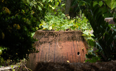 An old clay jar overgrown with wild plants in a forgotten garden. Nature reclaiming its space