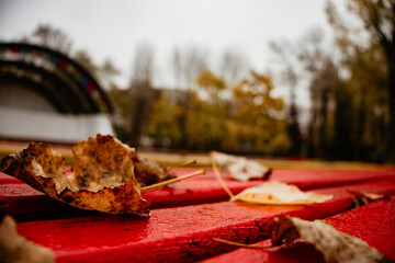A close-up of fallen autumn leaves on a wet, red wooden bench. The blurred background shows bare trees and a stage, capturing a cold, late fall day.