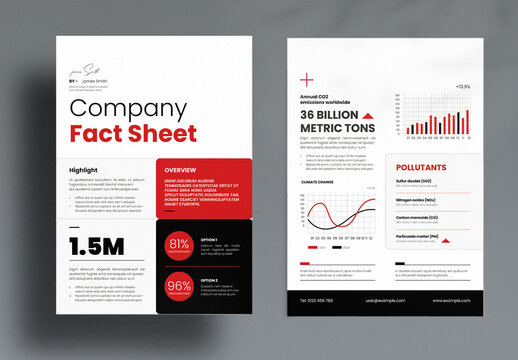 Company Fact Sheet Layout Design Template