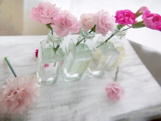 pink roses in a vase