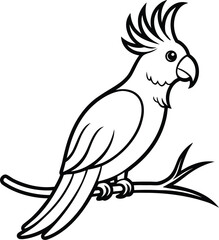 Vector art of black and white cockatoo bird sitting on a branch