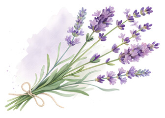 Naklejka premium Lavender Sprigs PNG – Purple Botanical Watercolor Floral Clipart for Sublimation