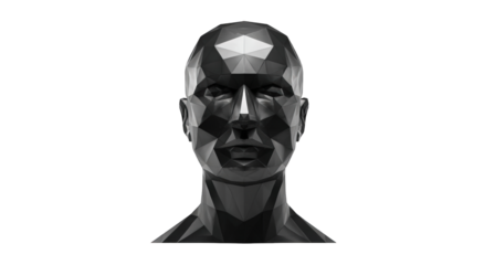 3D polygonal human head