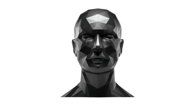 3D polygonal human head