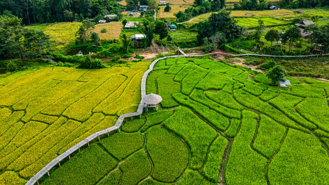 Temple and Fields Linked by a Bamboo Path
Peaceful Journey Over the Boon Ko Ku So Bridge
A Serene Walk Across Stepped Rice Terraces
Pai&rsquo;s Tranquil Bamboo Bridge Through the Paddies
Bamboo Bridge Over 