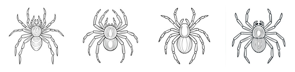 Tarantula vector illustration featuring a cute cartoon mix of elements in a playful and colorful style.