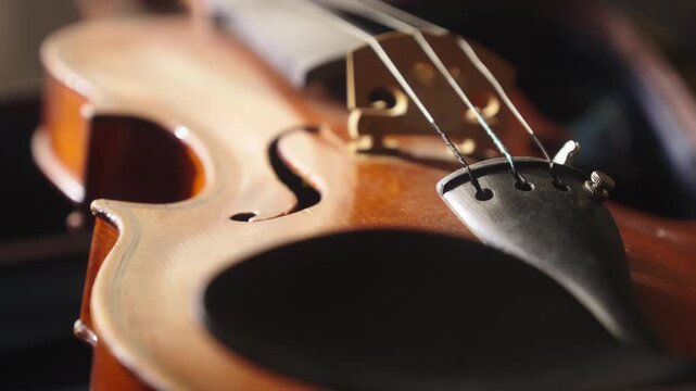Slide close-up shot reveal Antique 3 string violin fiddle details