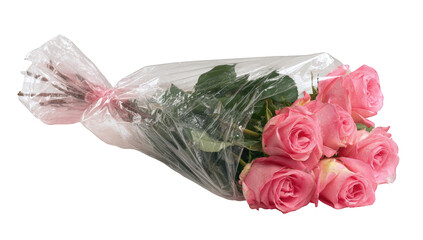 Pink roses in clear plastic wrap