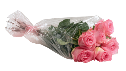 Pink roses in clear plastic wrap