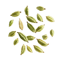 Green cardamom pods scattered on black background spice food ingredient flavor aroma culinary