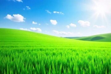 Fototapeta premium Lush green grass, freshly cut and vibrant, stretches to the horizon under a bright summer sky Perfect for nature, spring, or environmental themes , vibrant green, nature, plant