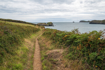 The Wales coastal path, near St Davids, Pembroke, on an overcast summers day. The entire coast of...