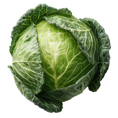 Fototapeta premium Fresh Green Cabbage Head on transparent png background