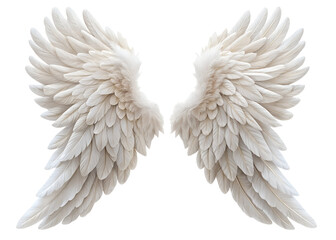 Obraz premium delicate white angel wings png image on transparent background