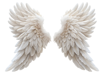 delicate white angel wings png image on transparent background