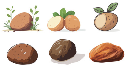 Brown Potato with Simple Shading Vector Drawing