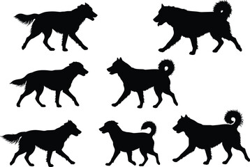 black dog silhouettes, walking and standing poses, domestic pet animal vector, canine breed shapes, isolated flat cad drawing, stock illustration set