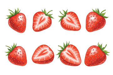 Adobe Illustrator Artwork