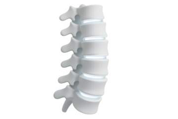 3d render of a human spine glowing on a transparent background, perfect for medical and scientific projects