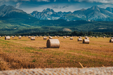 A sunlit meadow dotted with hay bales stretches toward distant peaks, blending the calm of the...