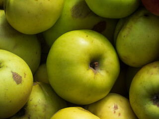 Full Frame of Freshly Picked Apples.