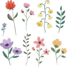 Watercolor Wild Floral Set