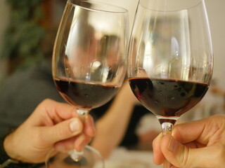 Two people are holding wine glasses and toasting to each other