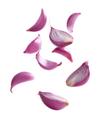 red or pink onion bulbs floating isolated on white or transparent png
