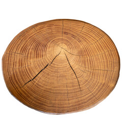 Cross section of tree trunk showing growth rings isolated
