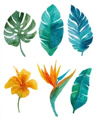 Fototapeta premium Colorful watercolor leaves and plants on a white background, featuring various shapes and shades.