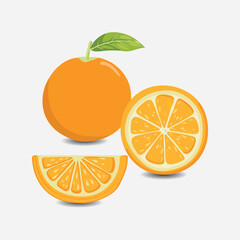 isolated illustration Collection of Orange Fruit EPS Vector