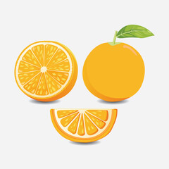 isolated illustration Collection of Orange Fruit EPS Vector