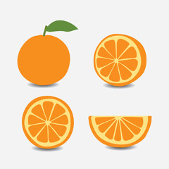 isolated illustration Collection of Orange Fruit EPS Vector