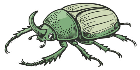 Green bug vector illustration clean and sharp inking style