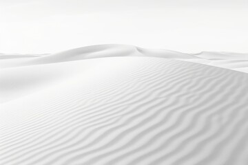 Obraz premium White background backgrounds monochrome nature.