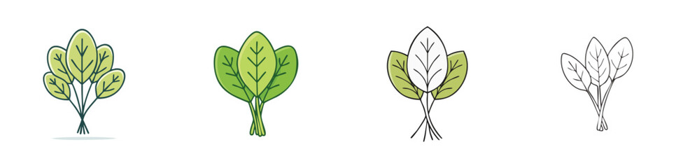 Spinach vector icon collection with clean lines and modern minimal style.
