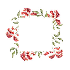 Fototapeta premium Watercolor frame, logo, template with bunch of rowan berries. Botanical hand drawn illustration isolated on background. Ideal for seasonal, halloween, forest, or nature-themed designs. Rustic foliage