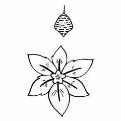 Minimilist illustration of a flower with six petals and a hanging cocoon above it in black and white outline style vector
