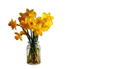 A bouquet of yellow daffodils in a glass jar